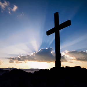 Specialized Ministry