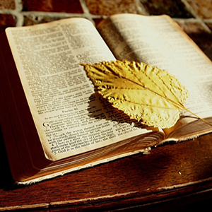 Specialized Ministry: Apologetics