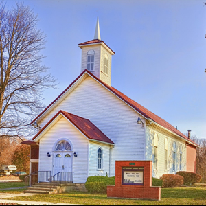 Specialized Ministry: Revivalist